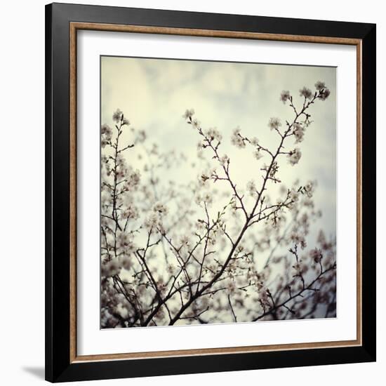 Meadow Bloom-Irene Suchocki-Framed Giclee Print