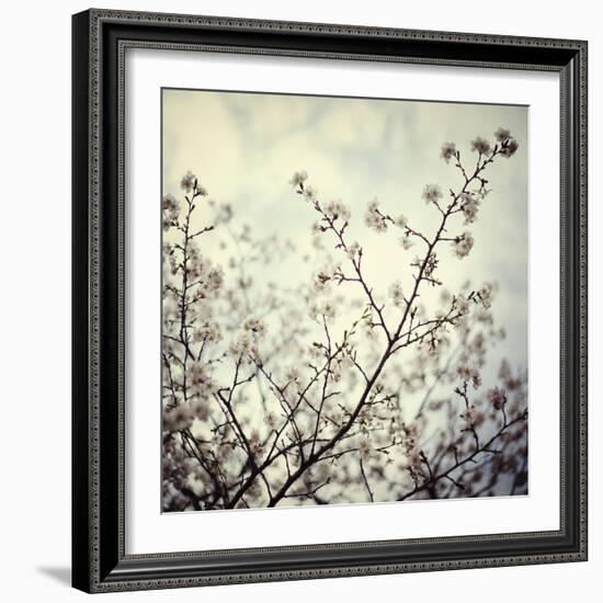 Meadow Bloom-Irene Suchocki-Framed Giclee Print