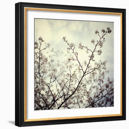 Meadow Bloom-Irene Suchocki-Framed Giclee Print