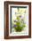 Meadow Bouquet-Nora Frei-Framed Photographic Print