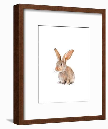 Meadow Buddy II-Lanie Loreth-Framed Art Print