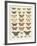 Meadow Butterflies-Maria Mendez-Framed Giclee Print