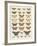 Meadow Butterflies-Maria Mendez-Framed Giclee Print