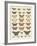 Meadow Butterflies-Maria Mendez-Framed Giclee Print