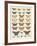 Meadow Butterflies-Maria Mendez-Framed Giclee Print