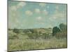 Meadow, by Alfred Sisley, 1875, French impressionist painting,-Alfred Sisley-Mounted Art Print