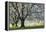 Meadow, Cherry Trees, Blossom-Herbert Kehrer-Framed Premier Image Canvas