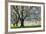 Meadow, Cherry Trees, Blossom-Herbert Kehrer-Framed Photographic Print