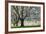 Meadow, Cherry Trees, Blossom-Herbert Kehrer-Framed Photographic Print