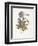 Meadow Cranes-Bill-Gwendolyn Babbitt-Framed Premium Giclee Print