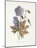Meadow Cranes-Bill-Gwendolyn Babbitt-Mounted Art Print
