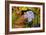 Meadow Cranesbill (Geranium Pratense)-Bob Gibbons-Framed Photographic Print
