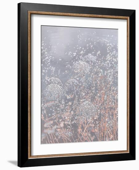 Meadow Dream-Doug Chinnery-Framed Photographic Print