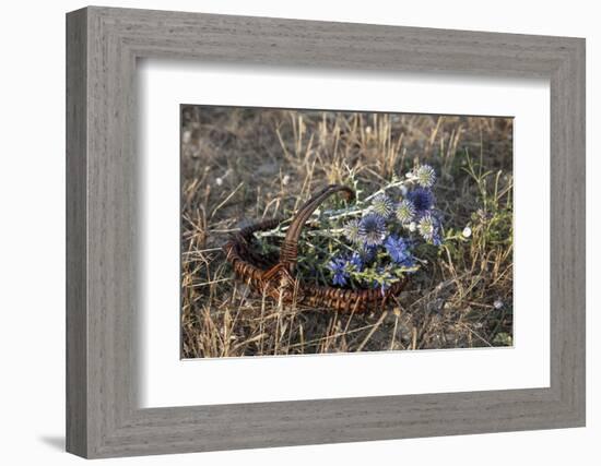 Meadow Flowers in the Basket-Andrea Haase-Framed Photographic Print