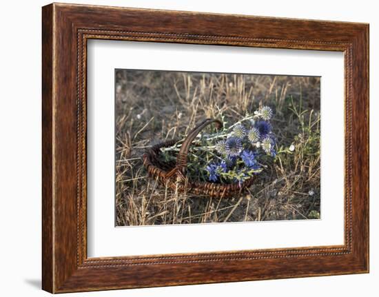 Meadow Flowers in the Basket-Andrea Haase-Framed Photographic Print