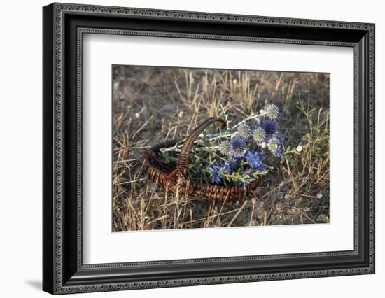 Meadow Flowers in the Basket-Andrea Haase-Framed Photographic Print