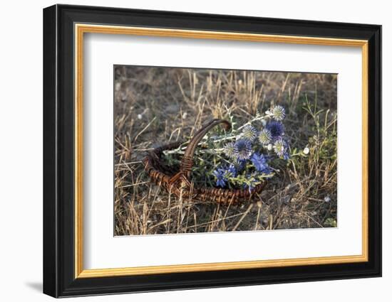 Meadow Flowers in the Basket-Andrea Haase-Framed Photographic Print