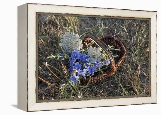 Meadow Flowers in the Basket-Andrea Haase-Framed Premier Image Canvas