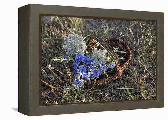 Meadow Flowers in the Basket-Andrea Haase-Framed Premier Image Canvas