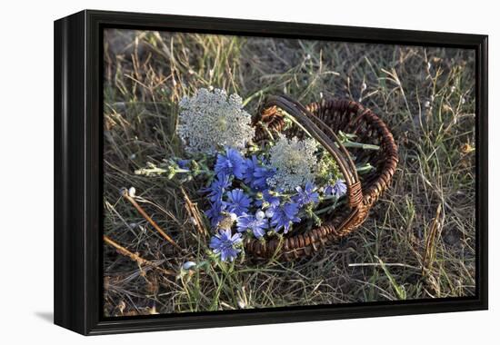 Meadow Flowers in the Basket-Andrea Haase-Framed Premier Image Canvas