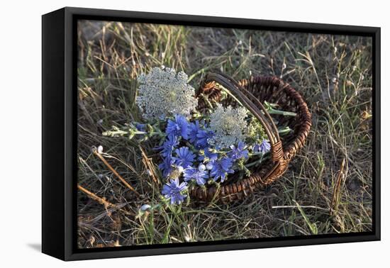 Meadow Flowers in the Basket-Andrea Haase-Framed Premier Image Canvas