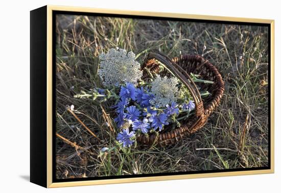 Meadow Flowers in the Basket-Andrea Haase-Framed Premier Image Canvas