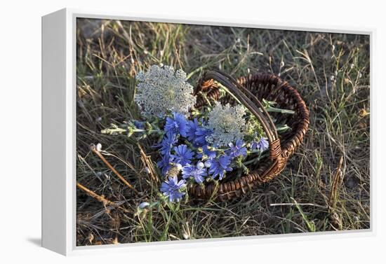 Meadow Flowers in the Basket-Andrea Haase-Framed Premier Image Canvas