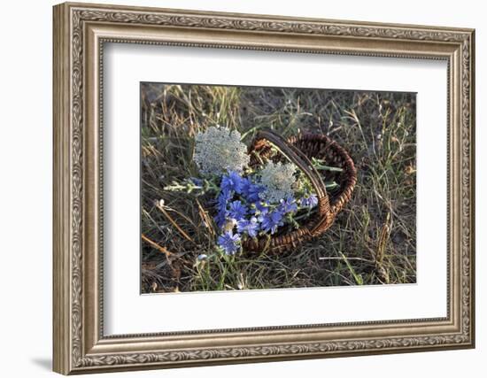 Meadow Flowers in the Basket-Andrea Haase-Framed Photographic Print