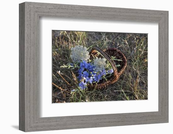 Meadow Flowers in the Basket-Andrea Haase-Framed Photographic Print