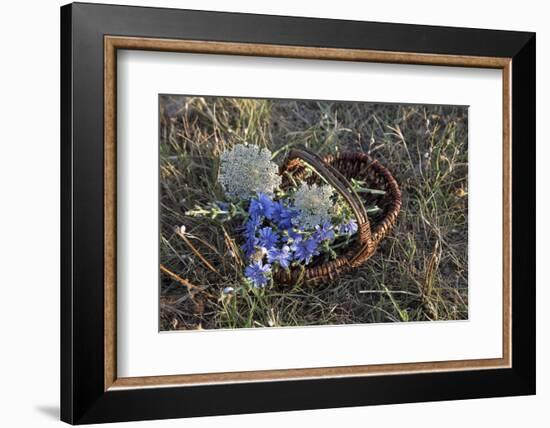 Meadow Flowers in the Basket-Andrea Haase-Framed Photographic Print