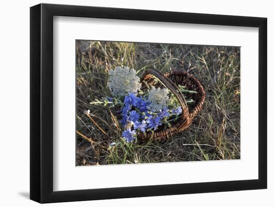 Meadow Flowers in the Basket-Andrea Haase-Framed Photographic Print