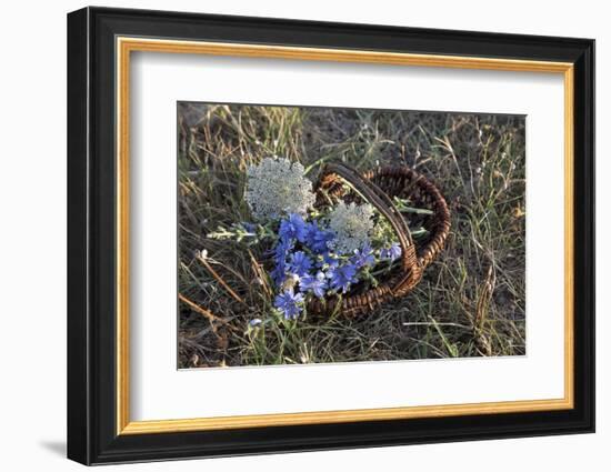 Meadow Flowers in the Basket-Andrea Haase-Framed Photographic Print