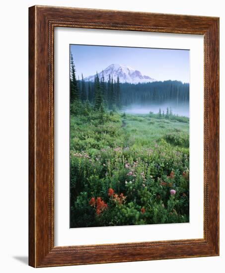 Meadow Flowers, Mt Rainier National Park, Washington, USA-Stuart Westmorland-Framed Photographic Print