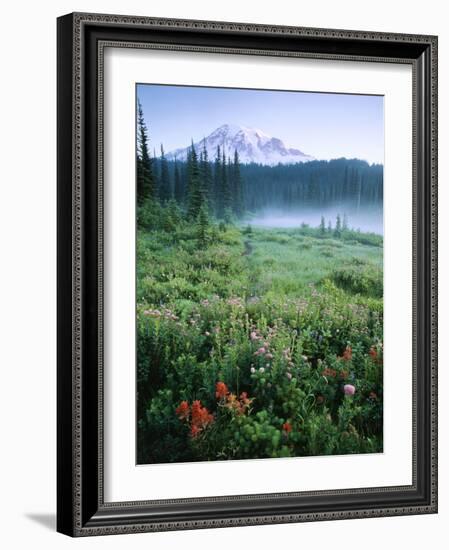 Meadow Flowers, Mt Rainier National Park, Washington, USA-Stuart Westmorland-Framed Photographic Print