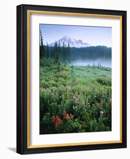 Meadow Flowers, Mt Rainier National Park, Washington, USA-Stuart Westmorland-Framed Photographic Print