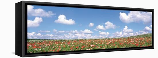 Meadow Flowers with Cloudy Sky in Background-null-Framed Stretched Canvas
