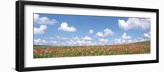 Meadow Flowers with Cloudy Sky in Background-null-Framed Photographic Print