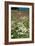 Meadow Flowers-Dr. Keith Wheeler-Framed Photographic Print