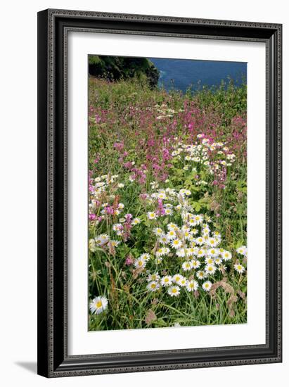 Meadow Flowers-Dr. Keith Wheeler-Framed Photographic Print