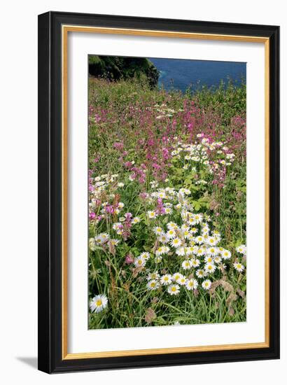 Meadow Flowers-Dr. Keith Wheeler-Framed Photographic Print