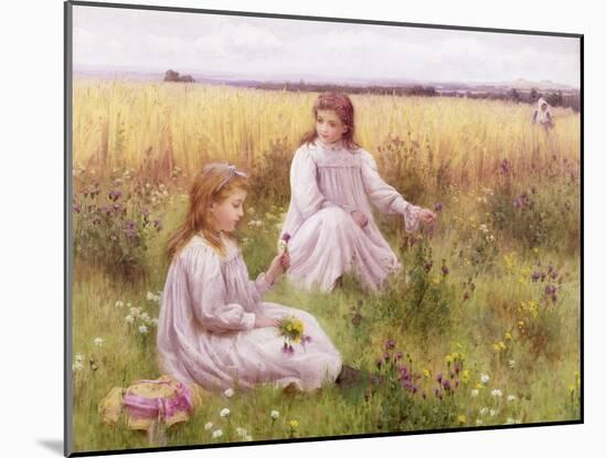 Meadow Flowers-William Blake-Mounted Giclee Print