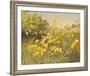 Meadow Gold-Mary Dipnall-Framed Giclee Print