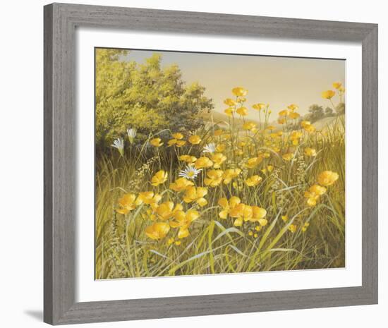 Meadow Gold-Mary Dipnall-Framed Giclee Print