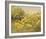 Meadow Gold-Mary Dipnall-Framed Giclee Print