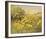 Meadow Gold-Mary Dipnall-Framed Giclee Print