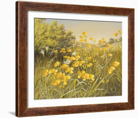 Meadow Gold-Mary Dipnall-Framed Giclee Print