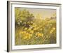 Meadow Gold-Mary Dipnall-Framed Giclee Print