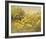 Meadow Gold-Mary Dipnall-Framed Giclee Print