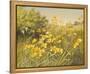 Meadow Gold-Mary Dipnall-Framed Stretched Canvas
