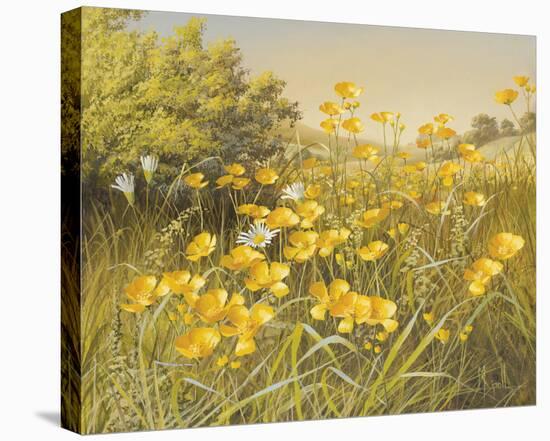 Meadow Gold-Mary Dipnall-Framed Stretched Canvas